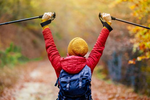 Hiking girl with poles and backpack on a trail. Backview. Hands up enjoying in nature. Travel and healthy lifestyle outdoors in fall season.