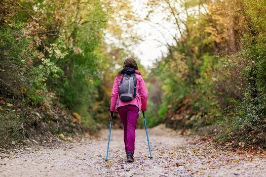 Hiker girl walking away from camera on a wide trail in the mountains. Back view of backpacker with pink jacket in a forest. Healthy fitness lifestyle outdoors.