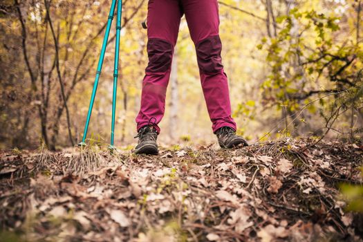 Hiking girl in a mountain. Low angle view of legs in a forest. Healthy fitness lifestyle outdoors.