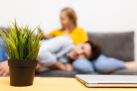 boy naps on girlfriend's lap while she looks at smart phone. focus on flower and laptop