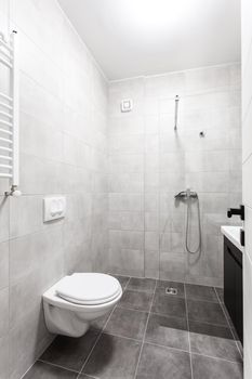 modern toilet interior with glass shower