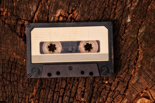 an old audio tape on a dry log