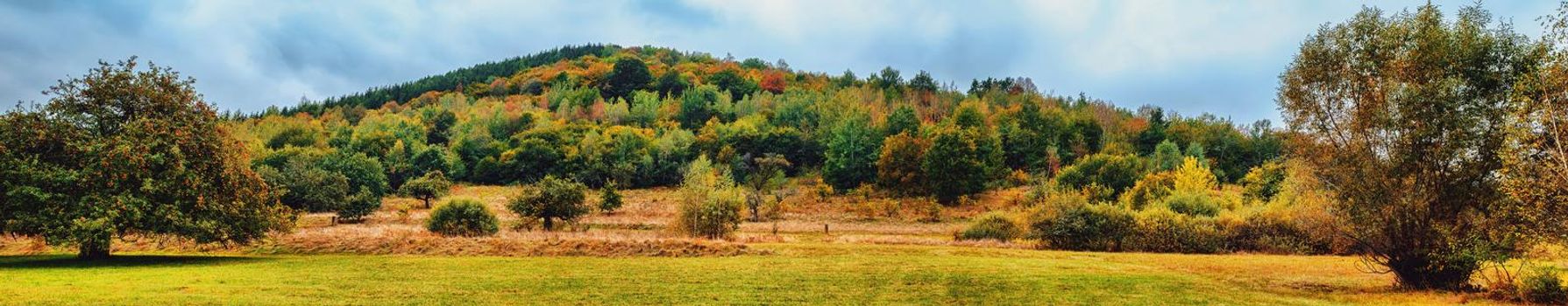 autumn panorama with red apple