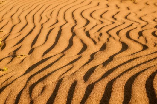 Background texture of desert sand 
