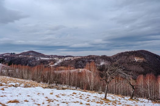 beautiful winter landscapes in the Romanian mountains, Fantanele village area, Sibiu county, Cindrel mountains, Romania