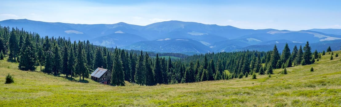 cottage between firs, Cindrel mountains, Romania