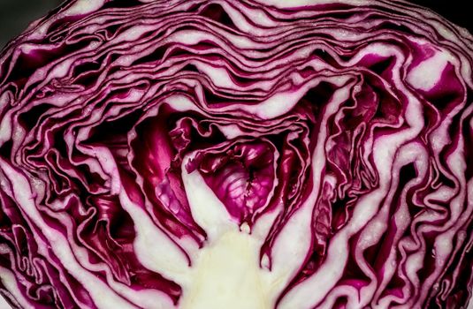 Cut in half red cabbage, close view