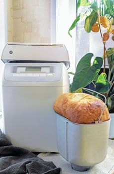 Household appliances: electric oven for baking bread at home. The white bread baked in it.