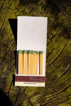 match sticks on a tree with lichens