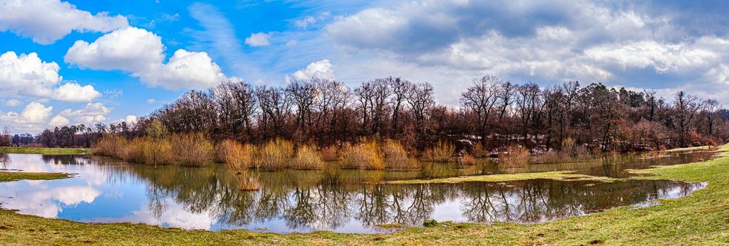 the lake and the forest