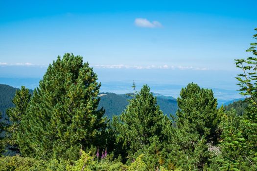 view over the wild Retezat National Park, Romania
