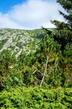 view over the wild Retezat National Park, Romania