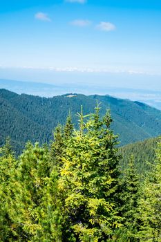 view over the wild Retezat National Park, Romania