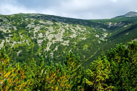view over the wild Retezat National Park, Romania