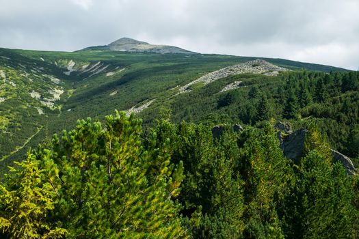 view over the wild Retezat National Park, Romania