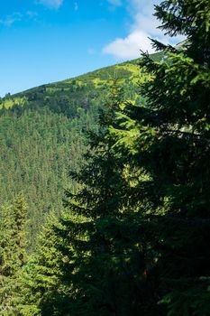 view over the wild Retezat National Park, Romania