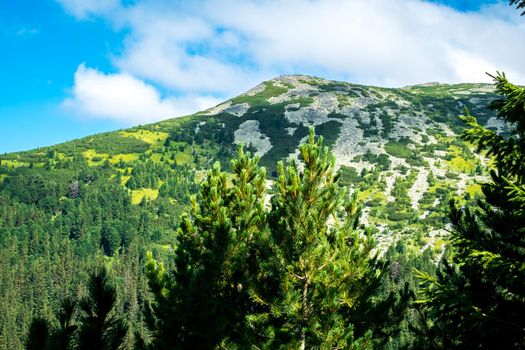 view over the wild Retezat National Park, Romania