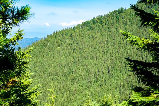view over the wild Retezat National Park, Romania