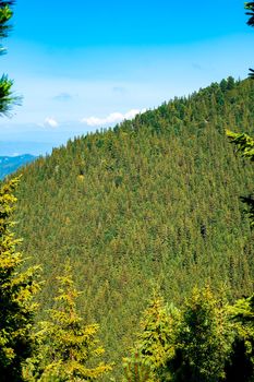 view over the wild Retezat National Park, Romania