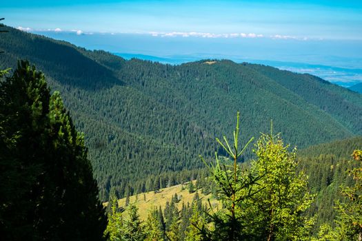 view over the wild Retezat National Park, Romania