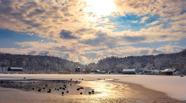 Winter panorama with windmills and geese on the lake in a cloudy cold day