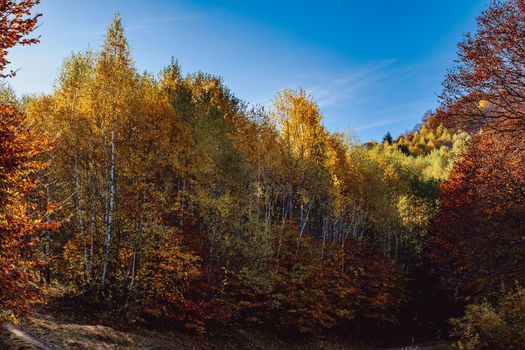 beautiful autumn landscapes in the Romanian mountains, Fantanele village area, Sibiu county, Cindrel mountains, Romania