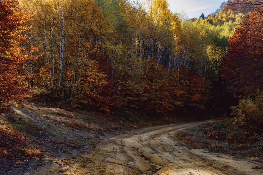 beautiful autumn landscapes in the Romanian mountains, Fantanele village area, Sibiu county, Cindrel mountains, Romania