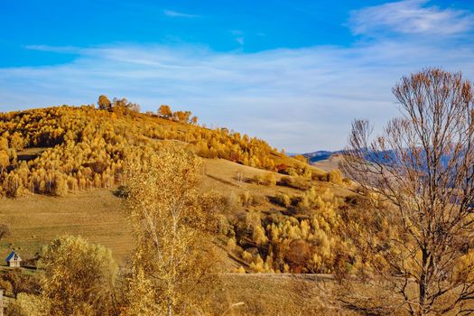 beautiful autumn landscapes in the Romanian mountains, Fantanele village area, Sibiu county, Cindrel mountains, Romania