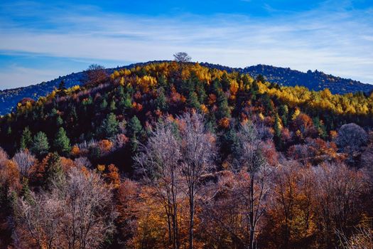 beautiful autumn landscapes in the Romanian mountains, Fantanele village area, Sibiu county, Cindrel mountains, Romania