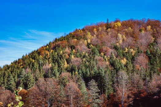 beautiful autumn landscapes in the Romanian mountains, Fantanele village area, Sibiu county, Cindrel mountains, Romania