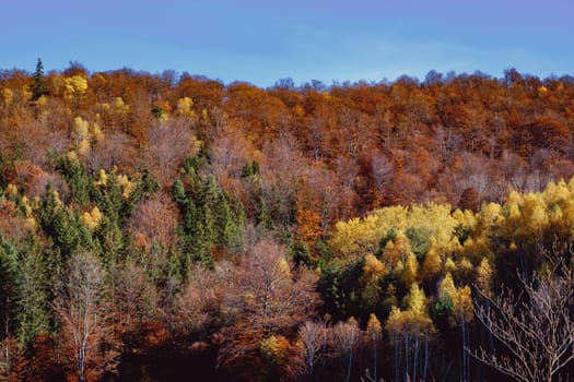 beautiful autumn landscapes in the Romanian mountains, Fantanele village area, Sibiu county, Cindrel mountains, Romania