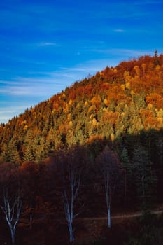 beautiful autumn landscapes in the Romanian mountains, Fantanele village area, Sibiu county, Cindrel mountains, Romania