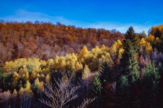 beautiful autumn landscapes in the Romanian mountains, Fantanele village area, Sibiu county, Cindrel mountains, Romania