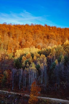 beautiful autumn landscapes in the Romanian mountains, Fantanele village area, Sibiu county, Cindrel mountains, Romania