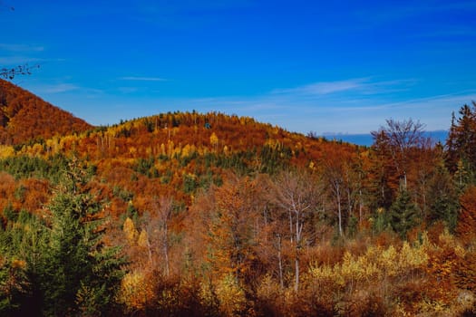 beautiful autumn landscapes in the Romanian mountains, Fantanele village area, Sibiu county, Cindrel mountains, Romania
