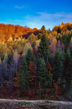 beautiful autumn landscapes in the Romanian mountains, Fantanele village area, Sibiu county, Cindrel mountains, Romania