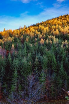 beautiful autumn landscapes in the Romanian mountains, Fantanele village area, Sibiu county, Cindrel mountains, Romania