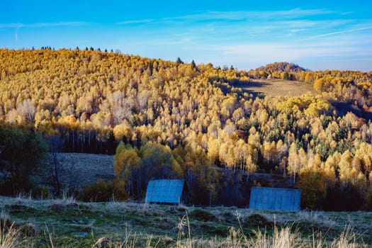 beautiful autumn landscapes in the Romanian mountains, Fantanele village area, Sibiu county, Cindrel mountains, Romania