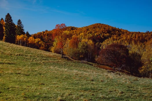 beautiful autumn landscapes in the Romanian mountains, Fantanele village area, Sibiu county, Cindrel mountains, Romania