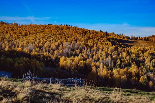 beautiful autumn landscapes in the Romanian mountains, Fantanele village area, Sibiu county, Cindrel mountains, Romania