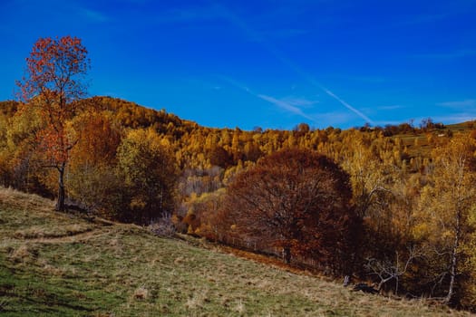 beautiful autumn landscapes in the Romanian mountains, Fantanele village area, Sibiu county, Cindrel mountains, Romania