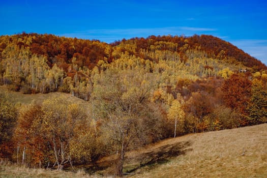 beautiful autumn landscapes in the Romanian mountains, Fantanele village area, Sibiu county, Cindrel mountains, Romania