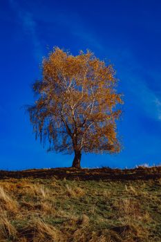 beautiful autumn landscapes in the Romanian mountains, Fantanele village area, Sibiu county, Cindrel mountains, Romania