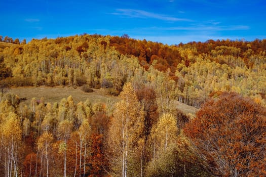 beautiful autumn landscapes in the Romanian mountains, Fantanele village area, Sibiu county, Cindrel mountains, Romania