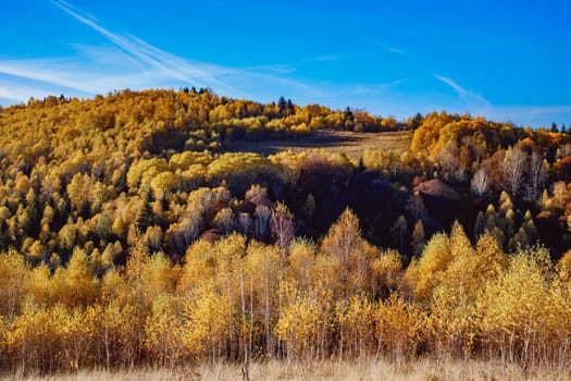 beautiful autumn landscapes in the Romanian mountains, Fantanele village area, Sibiu county, Cindrel mountains, Romania