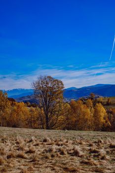 beautiful autumn landscapes in the Romanian mountains, Fantanele village area, Sibiu county, Cindrel mountains, Romania