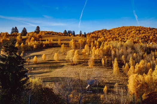 beautiful autumn landscapes in the Romanian mountains, Fantanele village area, Sibiu county, Cindrel mountains, Romania