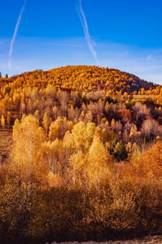 beautiful autumn landscapes in the Romanian mountains, Fantanele village area, Sibiu county, Cindrel mountains, Romania