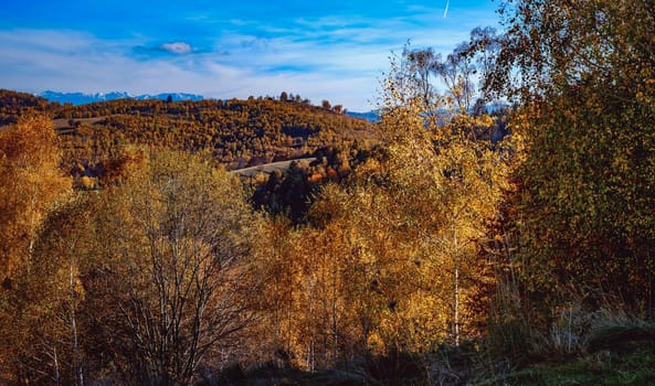 beautiful autumn landscapes in the Romanian mountains, Fantanele village area, Sibiu county, Cindrel mountains, Romania