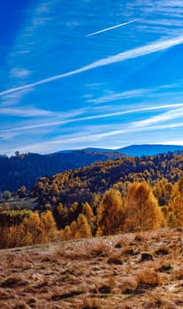 beautiful autumn landscapes in the Romanian mountains, Fantanele village area, Sibiu county, Cindrel mountains, Romania